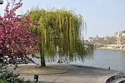 Musée de la sculpture en plein air (28. prosince 2011)