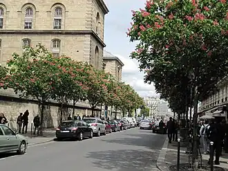 Pohled na budovy nemocnice Hôtel-Dieu