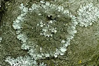 alternativní popis obrázku chybí