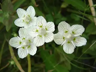 alternativní popis obrázku chybí