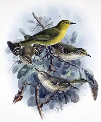 alternativní popis obrázku chybí