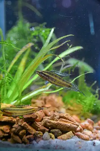 popis obrázku chybí