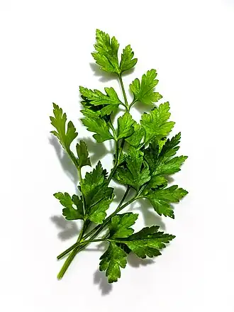 alternativní popis obrázku chybí