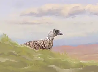 popis obrázku chybí