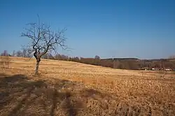 Přírodní památka Pašínovická louka na JZ Strážkovické pahorkatiny