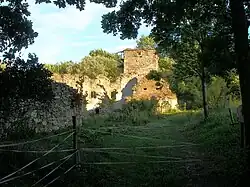 Zřícenina tvrze v Pasovarech