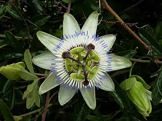 alternativní popis obrázku chybí