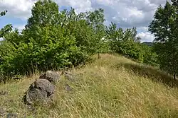 Hřbet Holého kopce