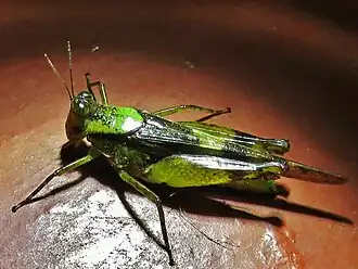 alternativní popis obrázku chybí