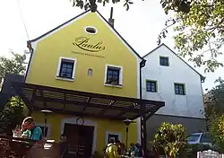 Pavlov (BV), Vinařství Paulus.jpg