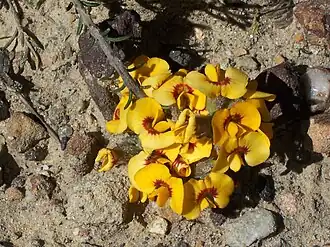 alternativní popis obrázku chybí