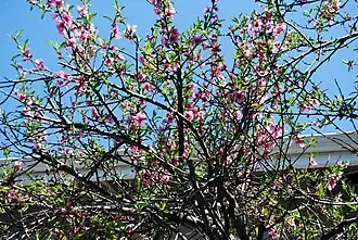 alternativní popis obrázku chybí