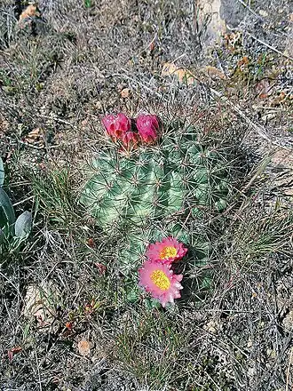 alternativní popis obrázku chybí