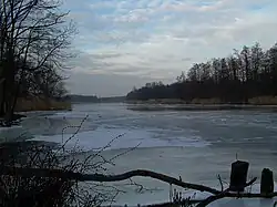 Pěna v okolí Stolpe auf Usedom