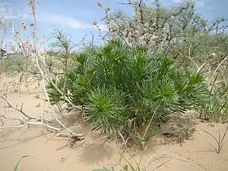 alternativní popis obrázku chybí