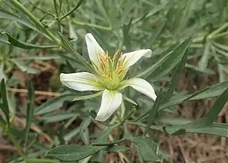 alternativní popis obrázku chybí