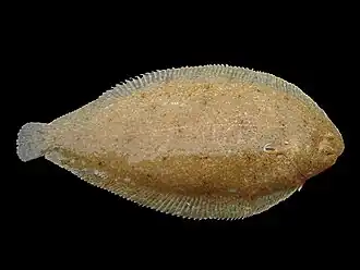 alternativní popis obrázku chybí