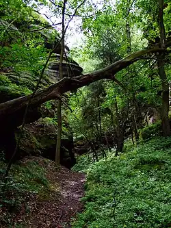 Peklo, cesta pod skalami