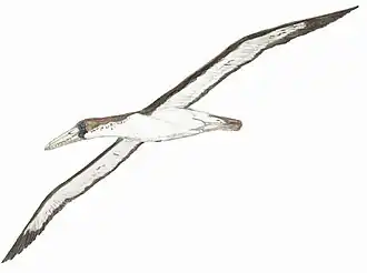 alternativní popis obrázku chybí