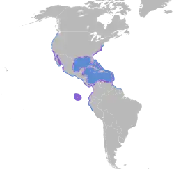 Areál rozšíření