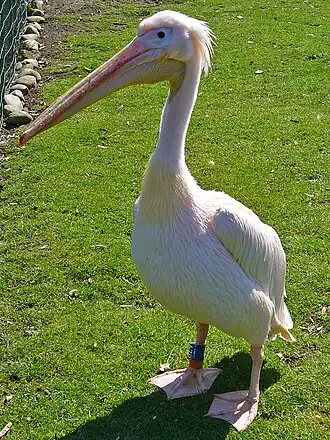 alternativní popis obrázku chybí