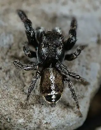 alternativní popis obrázku chybí