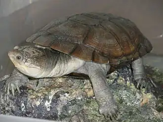 alternativní popis obrázku chybí