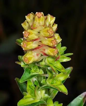 alternativní popis obrázku chybí