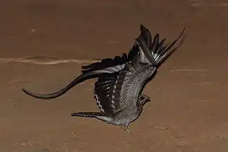 alternativní popis obrázku chybí