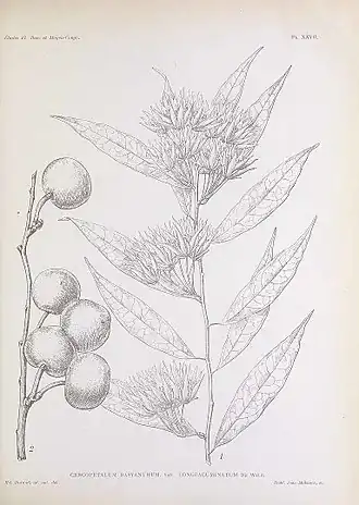 popis obrázku chybí