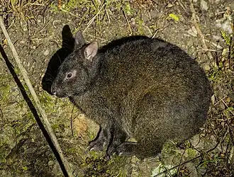 popis obrázku chybí