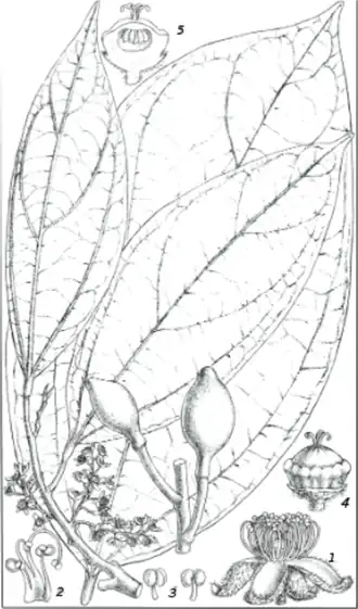 alternativní popis obrázku chybí