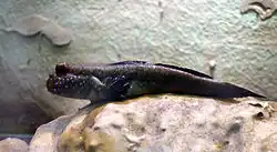 alternativní popis obrázku chybí