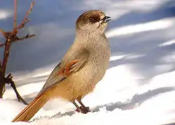 alternativní popis obrázku chybí