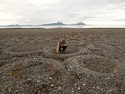 Kamenné záhonky, Špicberky, Norsko