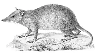 alternativní popis obrázku chybí