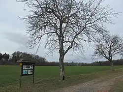 Tabule č. 7 cestou na Krásnou vyhlídku