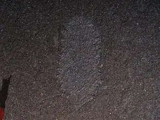 alternativní popis obrázku chybí