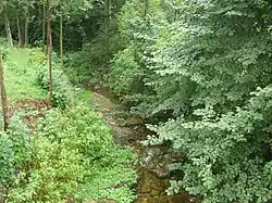 Petrovický potok u Petrovic