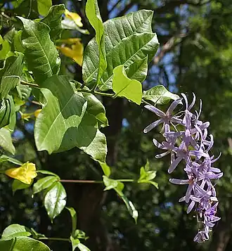 alternativní popis obrázku chybí