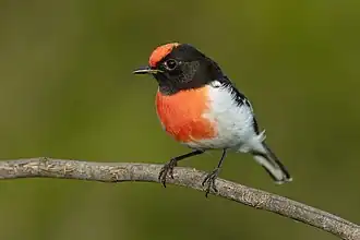 alternativní popis obrázku chybí