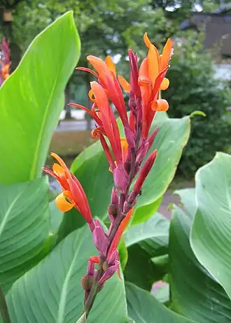 alternativní popis obrázku chybí