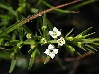 alternativní popis obrázku chybí