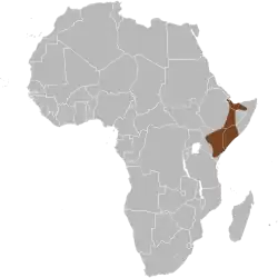 Mapa rozšíření prasete bradavičnatého