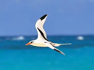 alternativní popis obrázku chybí