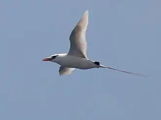 alternativní popis obrázku chybí