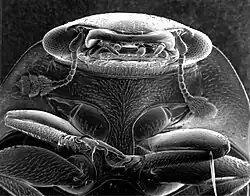 alternativní popis obrázku chybí