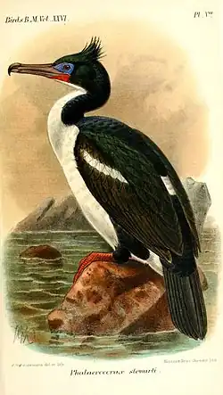 alternativní popis obrázku chybí