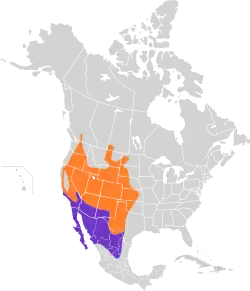 Areál rozšíření:      Hnízdiště      Celoroční výskyt