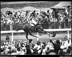 Phar Lap vítězí v roce 1930 na Melbourne Cup